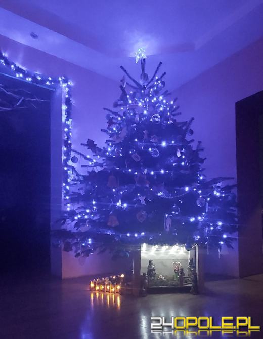 Choinki naszych czytelników robią wrażenie