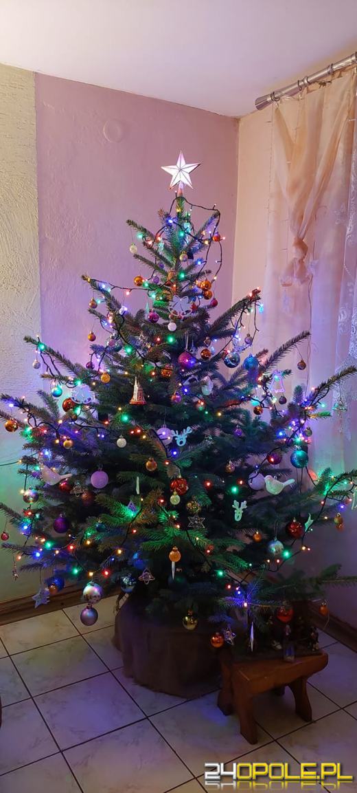 Choinki naszych czytelników robią wrażenie