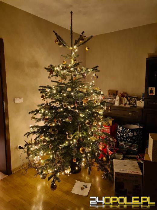 Choinki naszych czytelników robią wrażenie