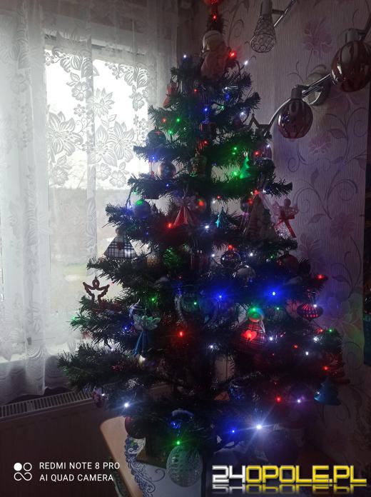 Choinki naszych czytelników robią wrażenie