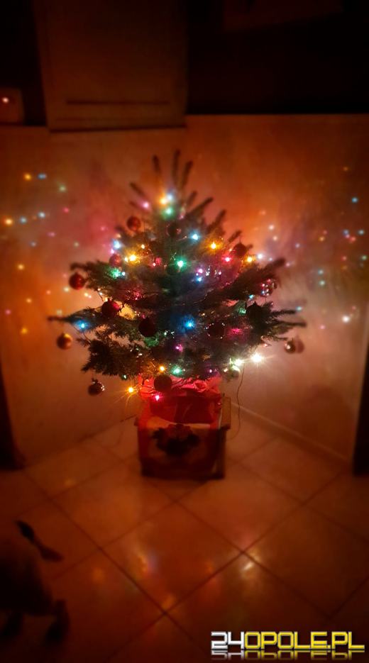 Choinki naszych czytelników robią wrażenie