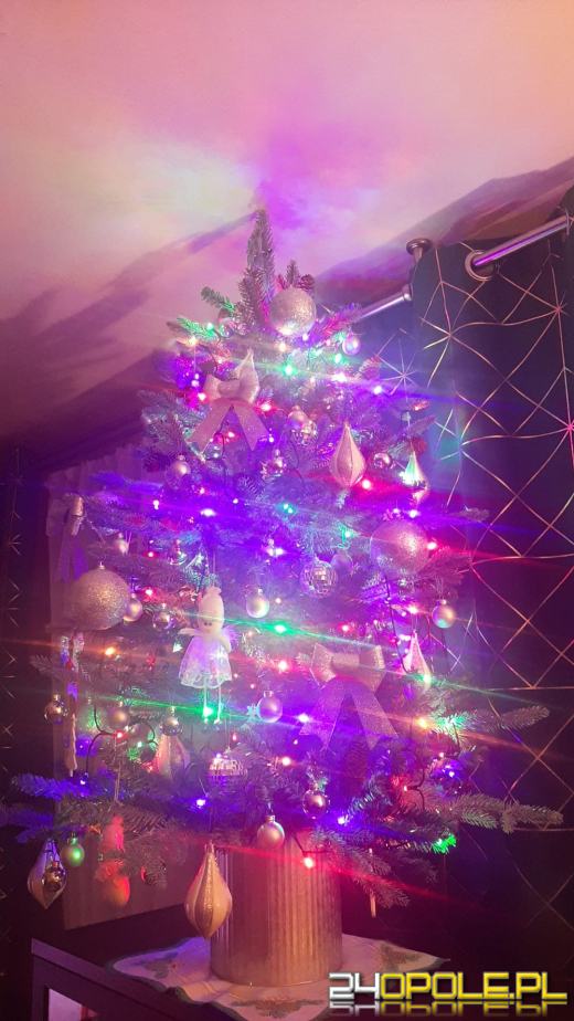 Choinki naszych czytelników robią wrażenie