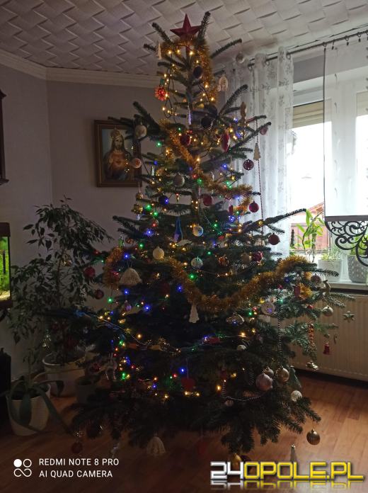Choinki naszych czytelników robią wrażenie