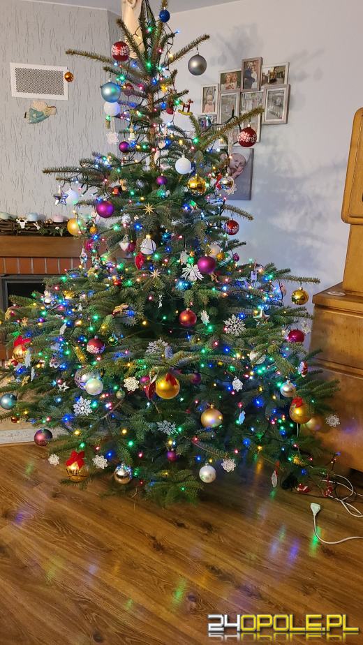 Choinki naszych czytelników robią wrażenie