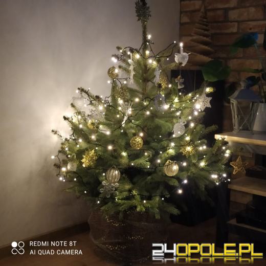 Choinki naszych czytelników robią wrażenie