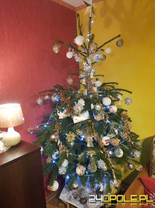 Choinki naszych czytelników robią wrażenie