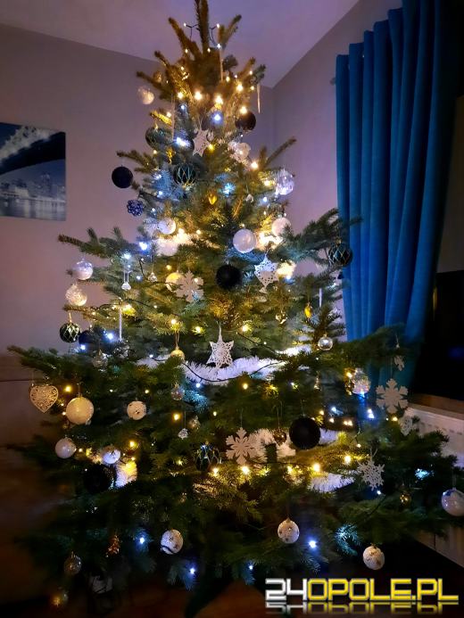 Choinki naszych czytelników robią wrażenie