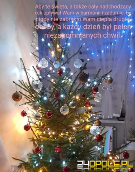 Choinki naszych czytelników robią wrażenie