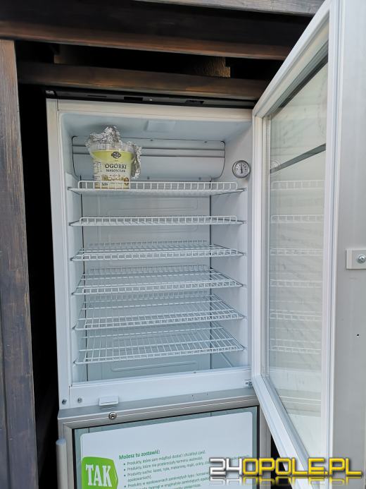 Jedzeniem, które zostało po świętach można się podzielić. Nie wyrzucaj!