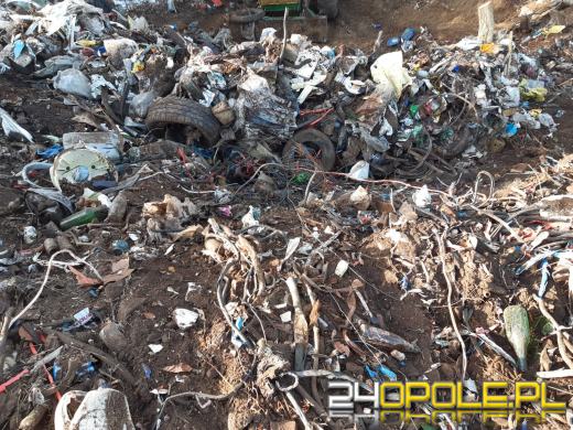 Z oleskich lasów wywieziono kilkadziesiąt ton śmieci!