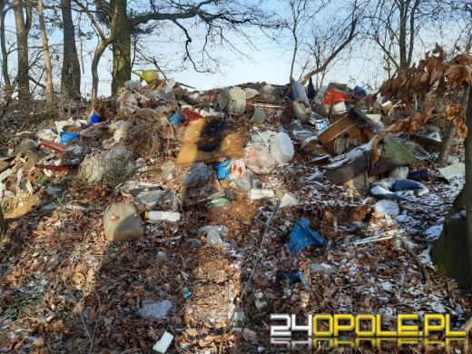 Z oleskich lasów wywieziono kilkadziesiąt ton śmieci!