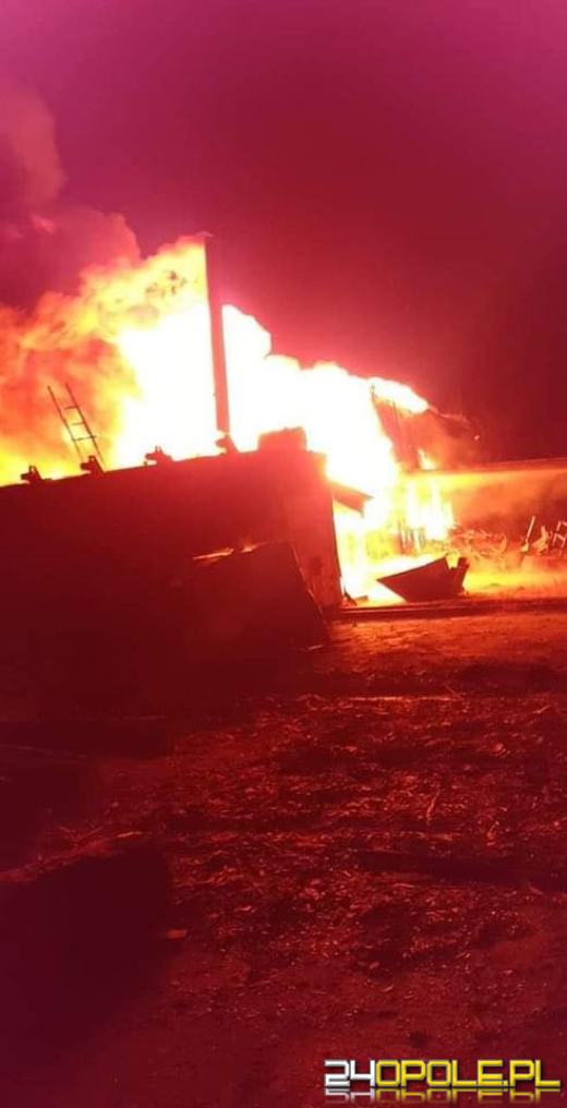 13 zastępów straży gasiło pożar hali z drewnem w Prószkowie
