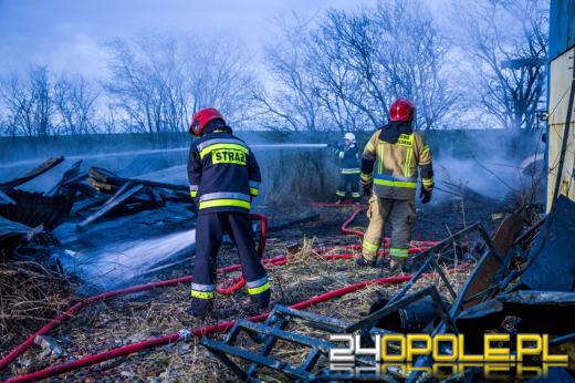 13 zastępów straży gasiło pożar hali z drewnem w Prószkowie