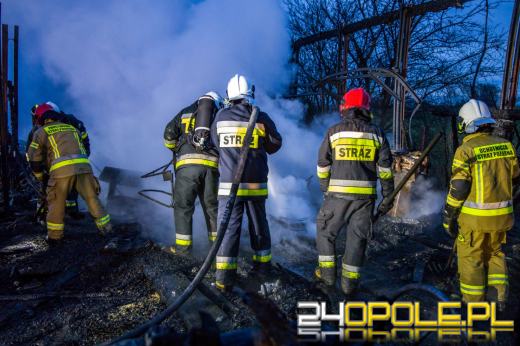 13 zastępów straży gasiło pożar hali z drewnem w Prószkowie