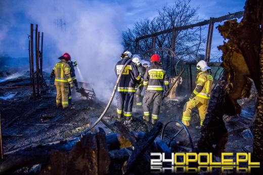13 zastępów straży gasiło pożar hali z drewnem w Prószkowie