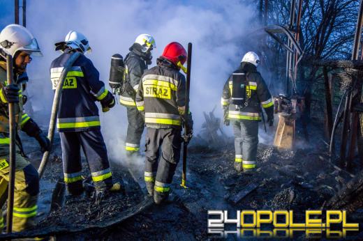 13 zastępów straży gasiło pożar hali z drewnem w Prószkowie