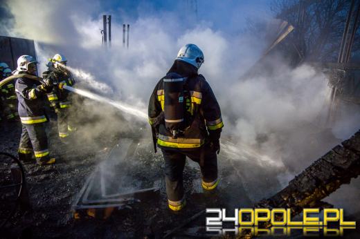 13 zastępów straży gasiło pożar hali z drewnem w Prószkowie