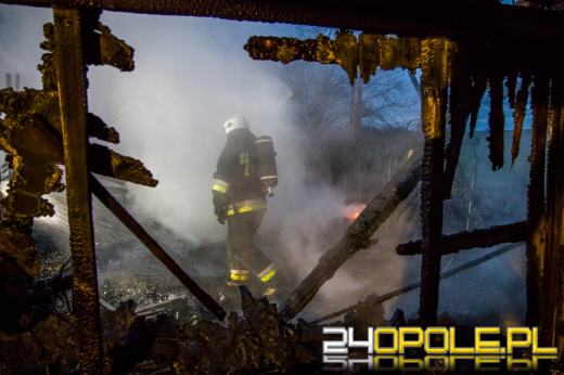 13 zastępów straży gasiło pożar hali z drewnem w Prószkowie