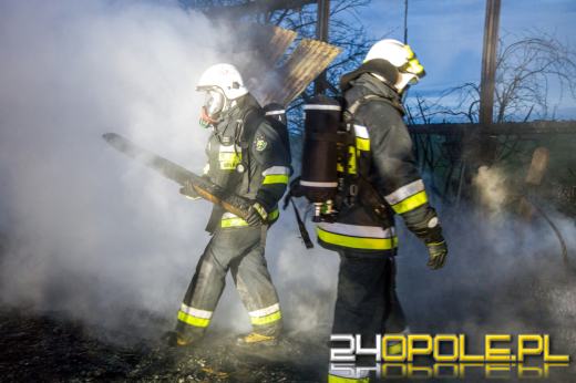13 zastępów straży gasiło pożar hali z drewnem w Prószkowie