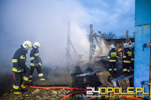 13 zastępów straży gasiło pożar hali z drewnem w Prószkowie