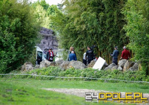 Można już oglądać Behawiorystę