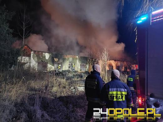 10 zastępów straży gasiło pożar w powiecie krapkowickim