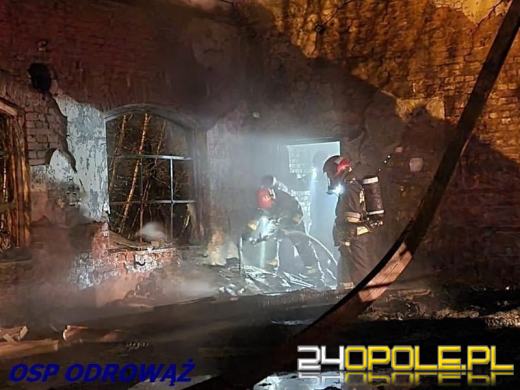 10 zastępów straży gasiło pożar w powiecie krapkowickim