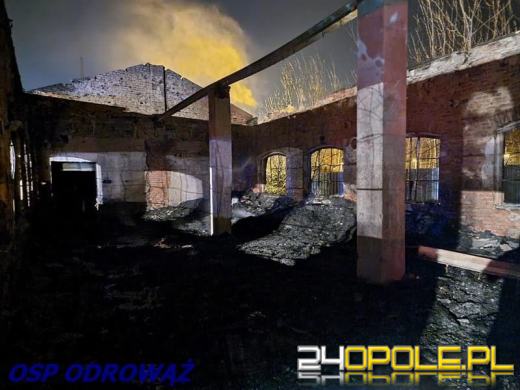 10 zastępów straży gasiło pożar w powiecie krapkowickim