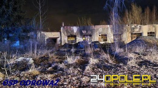 10 zastępów straży gasiło pożar w powiecie krapkowickim