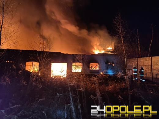 10 zastępów straży gasiło pożar w powiecie krapkowickim