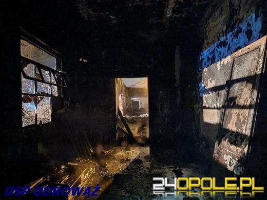 10 zastępów straży gasiło pożar w powiecie krapkowickim