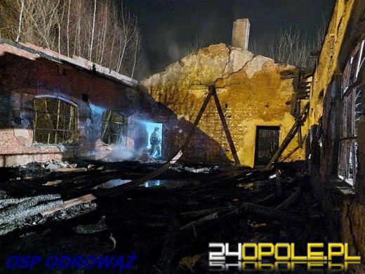 10 zastępów straży gasiło pożar w powiecie krapkowickim