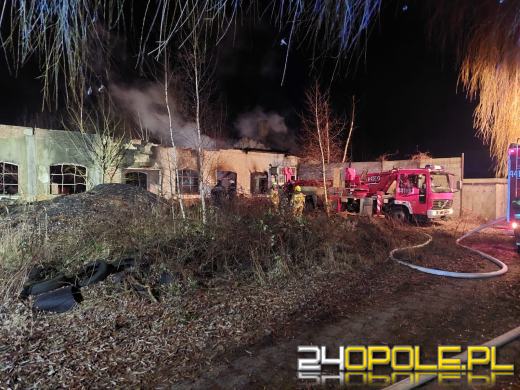 10 zastępów straży gasiło pożar w powiecie krapkowickim