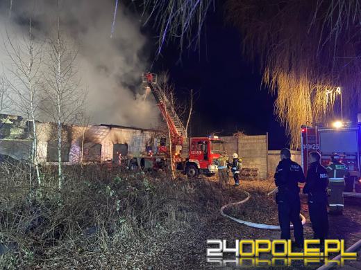 10 zastępów straży gasiło pożar w powiecie krapkowickim