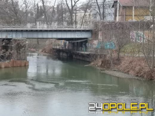 Kładka nad Młynówką prowadząca na Pasiekę zostanie...zlikwidowana!