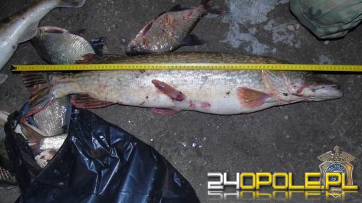 Kłusownicy zatrzymani w Otmuchowie