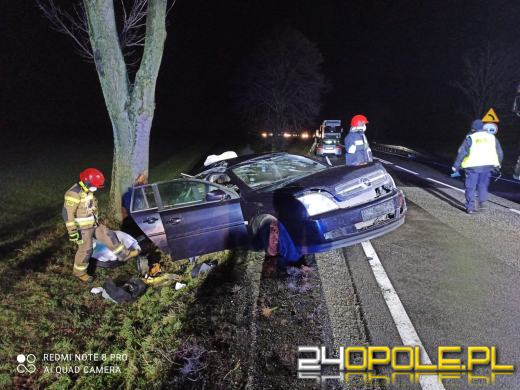 Wypadek na DK11. Opel uderzył w drzewo