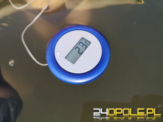 Niedzielne morsowanie na kąpielisku Bolko