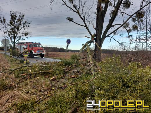 Strażacy walczą ze skutkami porywistego wiatru. Kilkadziesiąt interwencji w regionie