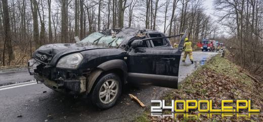 Drzewo spadło na jadący samochód. Interweniowali strażacy