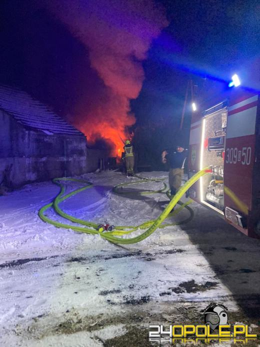 Pożar budynku w gminie Chrząstowice. Jedna osoba została poszkodowana