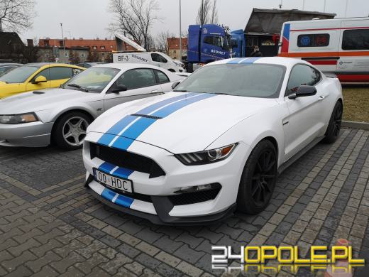 30 mustangów na 30-lecie. Moto Orkiestra "gra" pod Stegu Arena