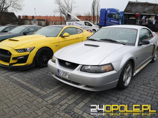 30 mustangów na 30-lecie. Moto Orkiestra "gra" pod Stegu Arena