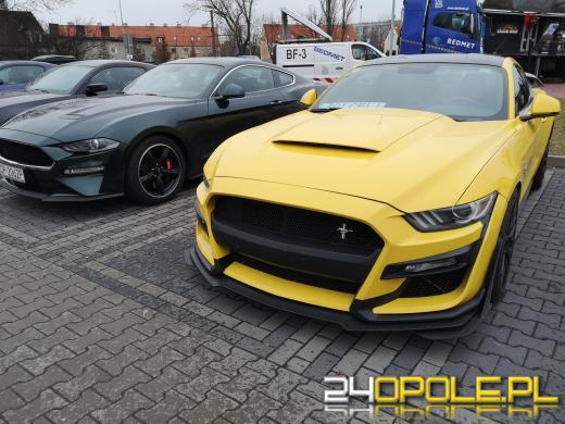 30 mustangów na 30-lecie. Moto Orkiestra "gra" pod Stegu Arena