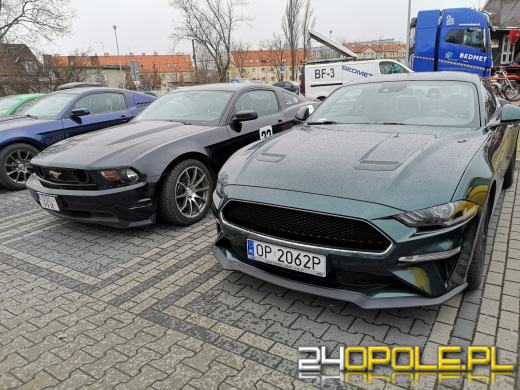 30 mustangów na 30-lecie. Moto Orkiestra "gra" pod Stegu Arena