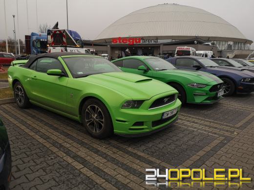 30 mustangów na 30-lecie. Moto Orkiestra "gra" pod Stegu Arena