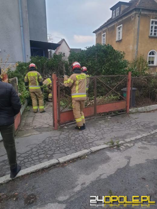 Kilkaset interwencji związanych z silnym wiatrem. Jest niebezpiecznie