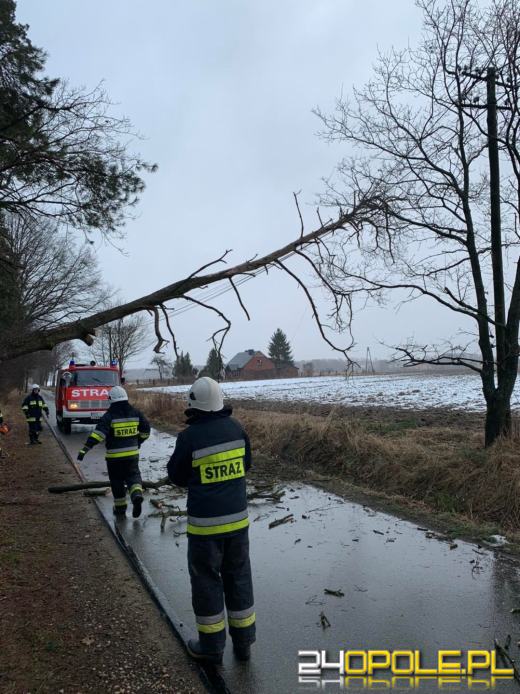 Kilkaset interwencji związanych z silnym wiatrem. Jest niebezpiecznie