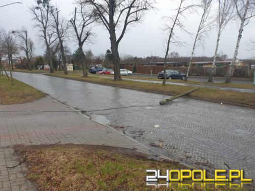 Kilkaset interwencji związanych z silnym wiatrem. Jest niebezpiecznie