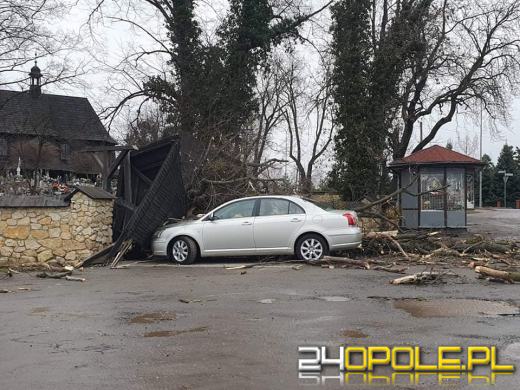 Kilkaset interwencji związanych z silnym wiatrem. Jest niebezpiecznie